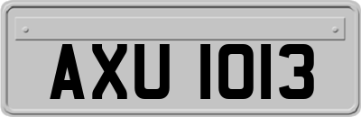 AXU1013