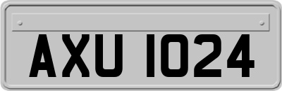 AXU1024
