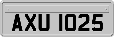 AXU1025