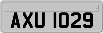 AXU1029