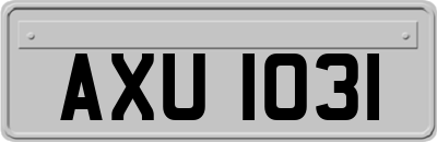 AXU1031