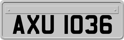 AXU1036