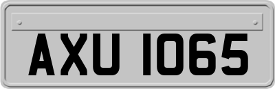 AXU1065