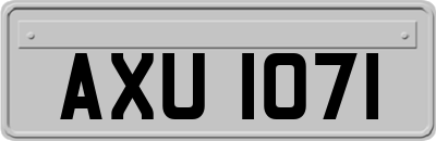 AXU1071