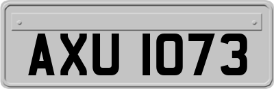 AXU1073