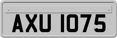 AXU1075