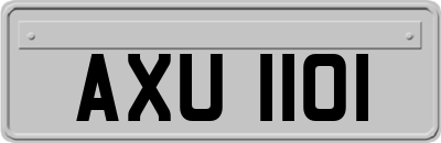 AXU1101
