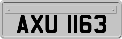 AXU1163