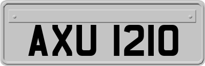 AXU1210