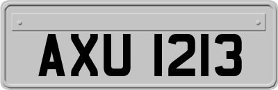 AXU1213