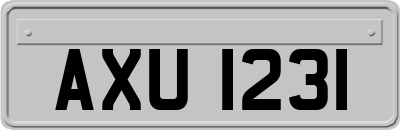 AXU1231