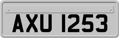AXU1253