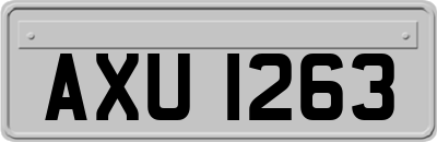 AXU1263