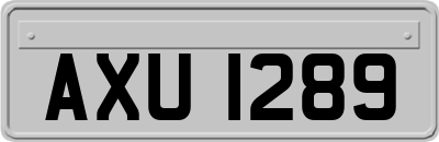 AXU1289