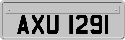 AXU1291