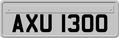 AXU1300