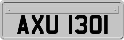 AXU1301