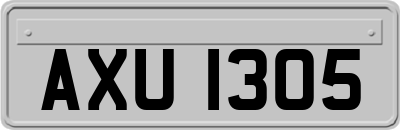 AXU1305
