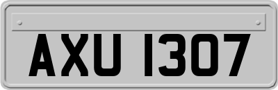 AXU1307