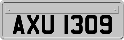 AXU1309