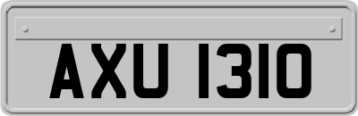 AXU1310