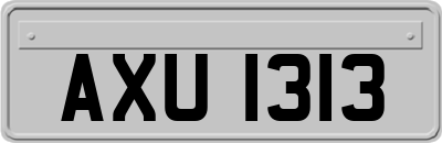 AXU1313