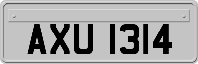 AXU1314