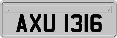 AXU1316