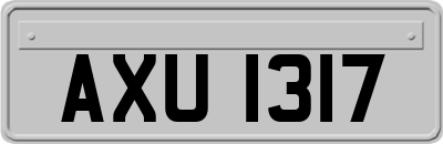 AXU1317