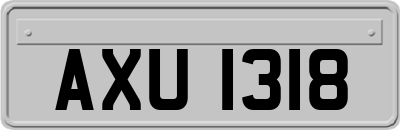 AXU1318