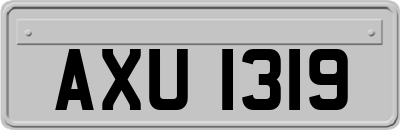 AXU1319