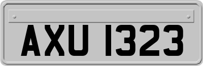 AXU1323
