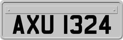 AXU1324