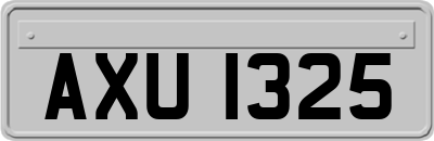 AXU1325