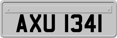 AXU1341
