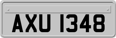 AXU1348