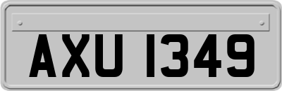 AXU1349