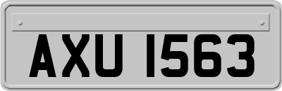 AXU1563
