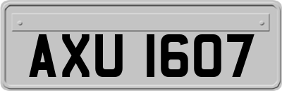 AXU1607