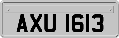 AXU1613