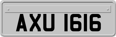 AXU1616