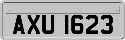AXU1623