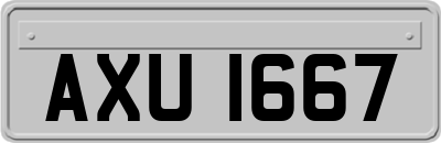AXU1667
