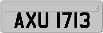 AXU1713
