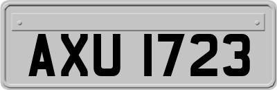 AXU1723