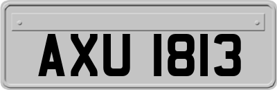 AXU1813