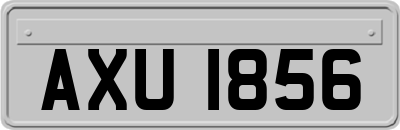 AXU1856