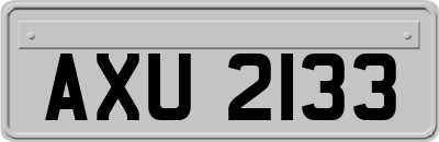 AXU2133