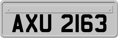 AXU2163