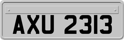 AXU2313